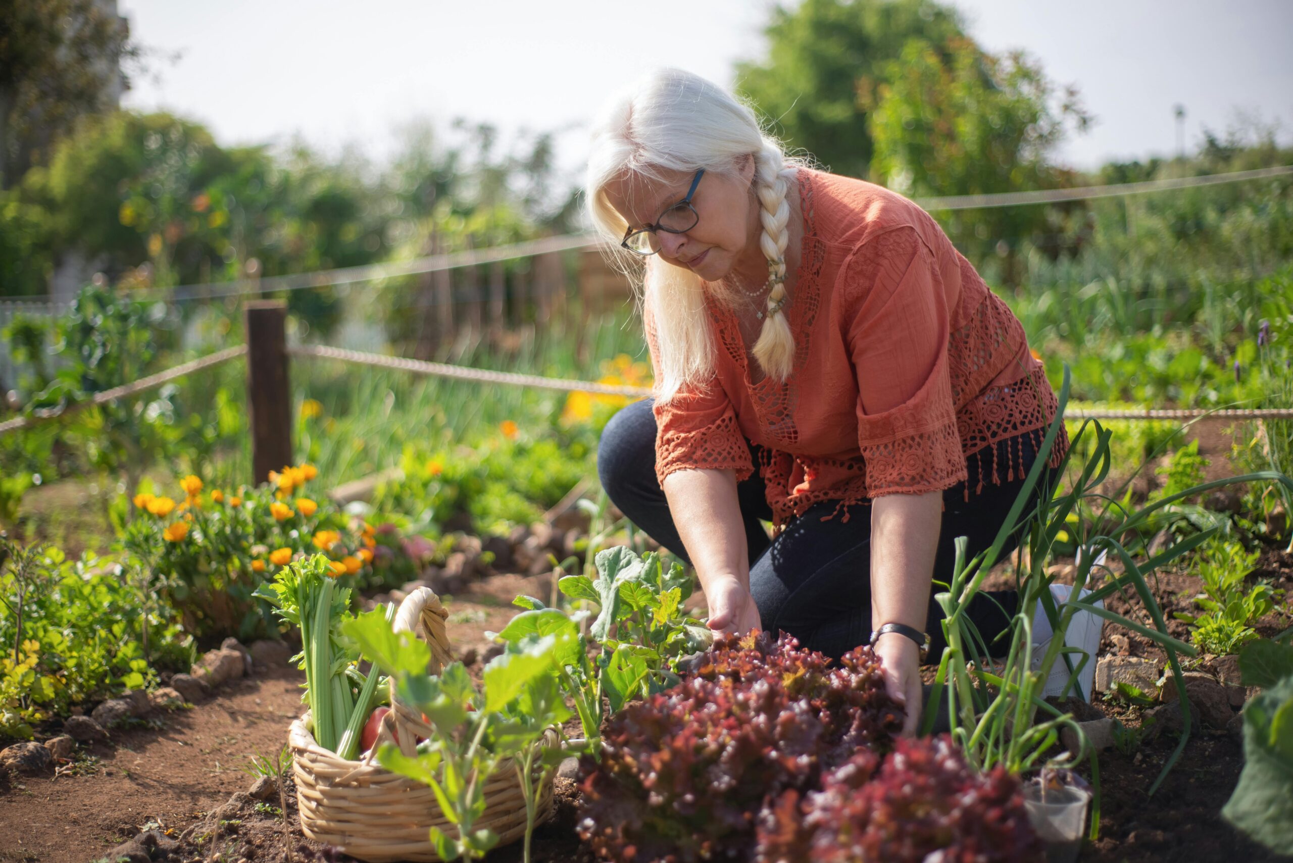 De eerste stappen naar jouw eigen moestuin: Tips voor beginners - Lees verder